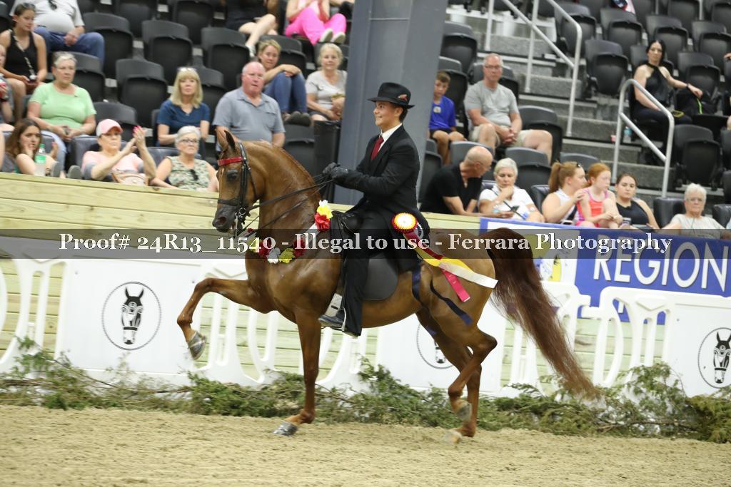 Proof 24R13_11540