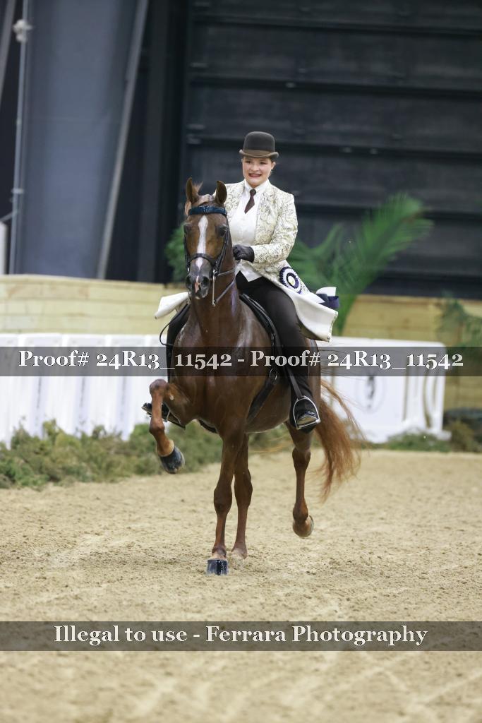 Proof 24R13_11542