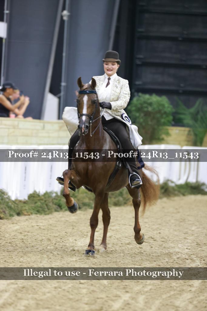 Proof 24R13_11543