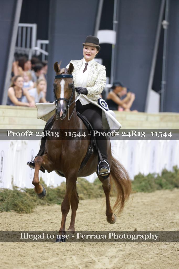 Proof 24R13_11544