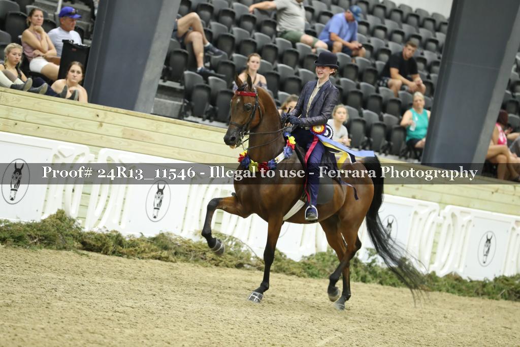 Proof 24R13_11546