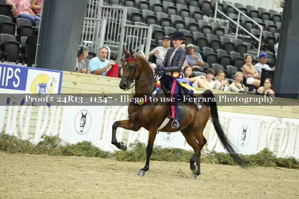 Proof 24R13_11547