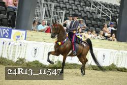 24R13_11547 proof
