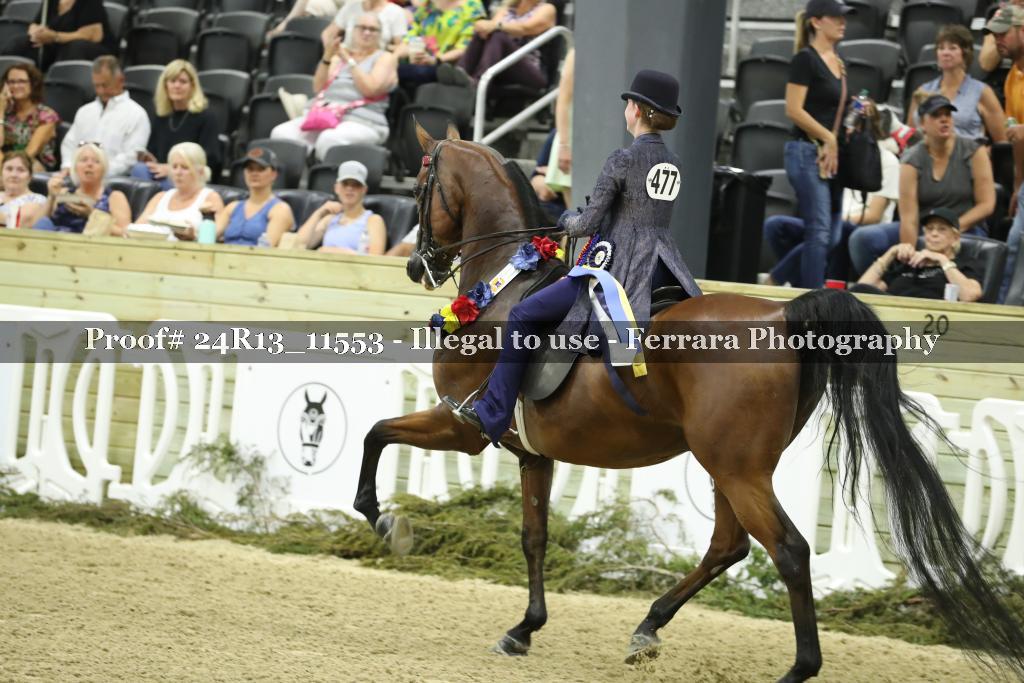 Proof 24R13_11553