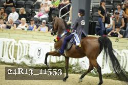 24R13_11553 proof