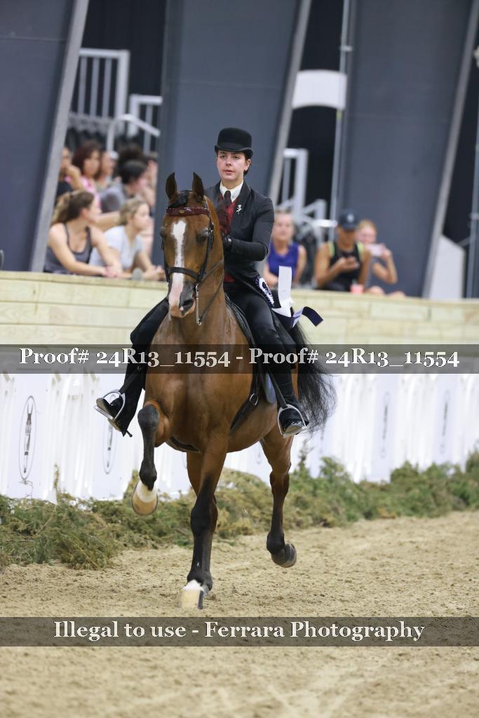 Proof 24R13_11554