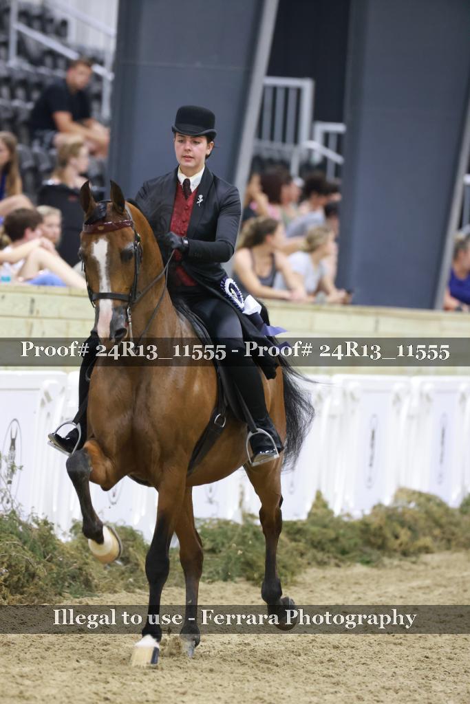 Proof 24R13_11555