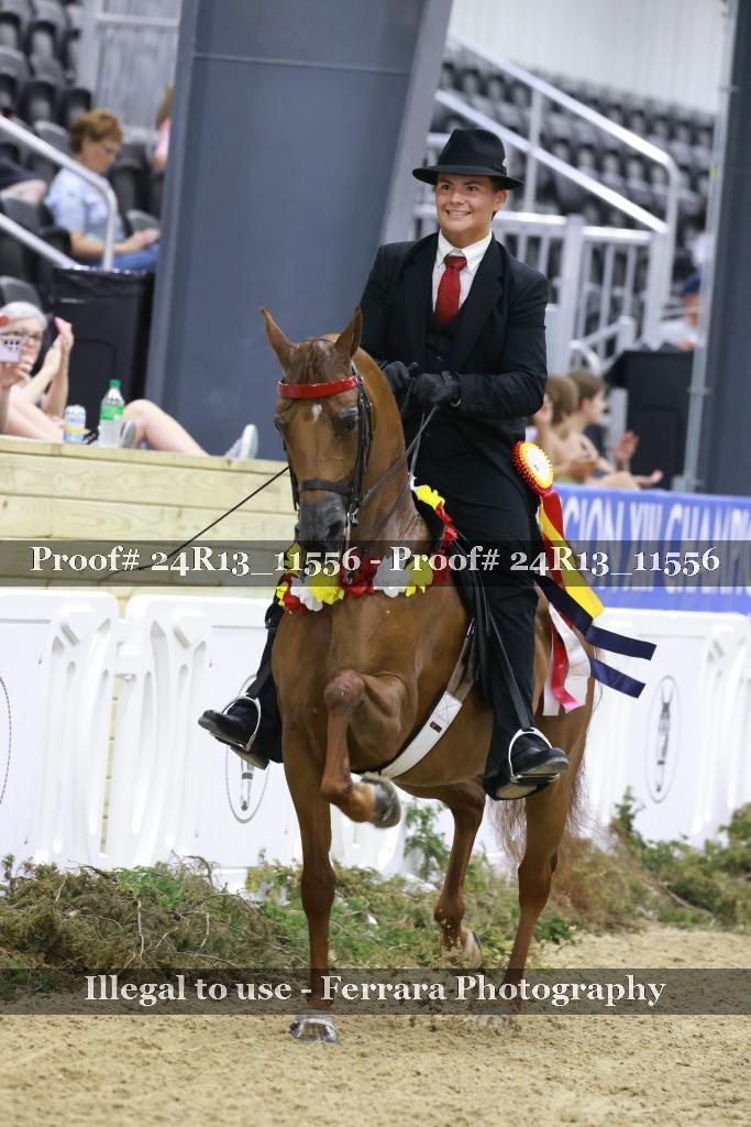 Proof 24R13_11556