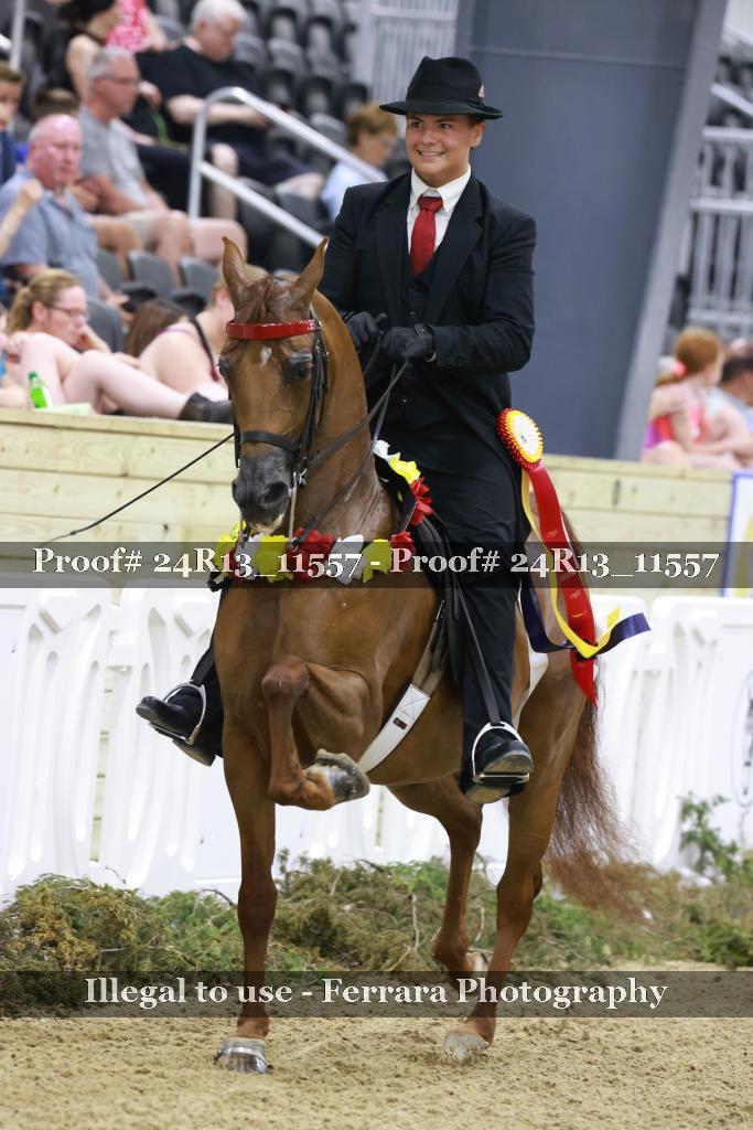 Proof 24R13_11557