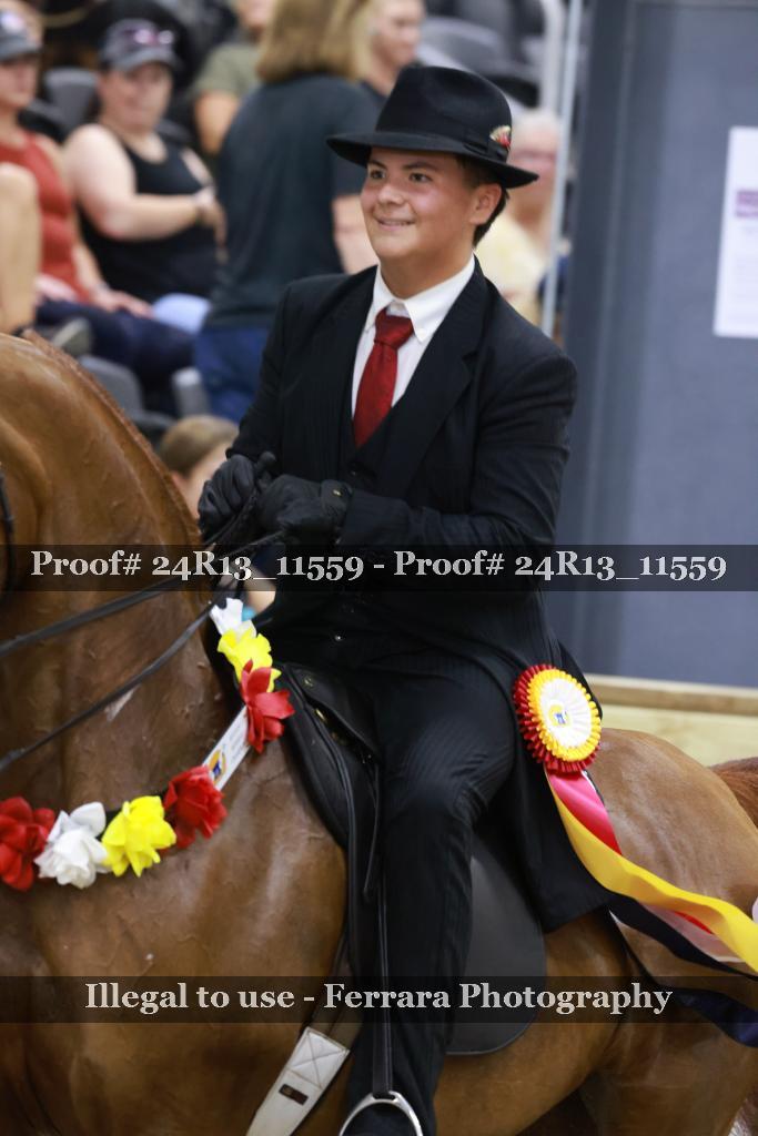 Proof 24R13_11559