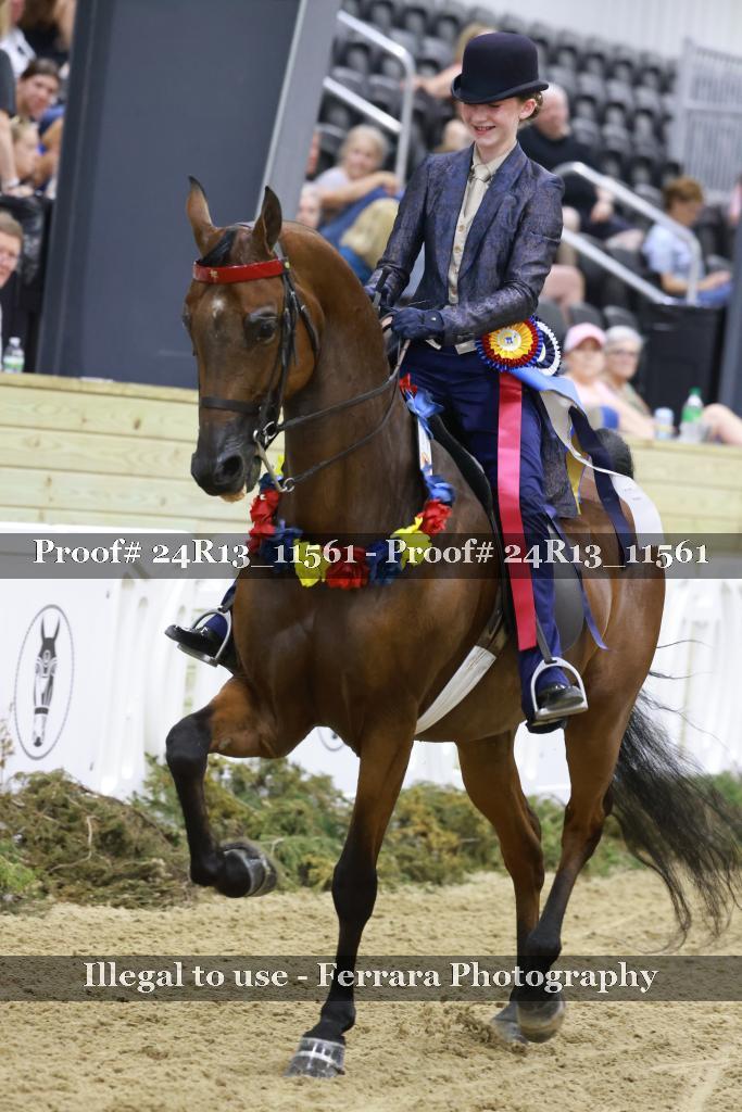 Proof 24R13_11561