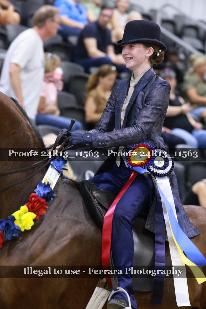 Proof 24R13_11563