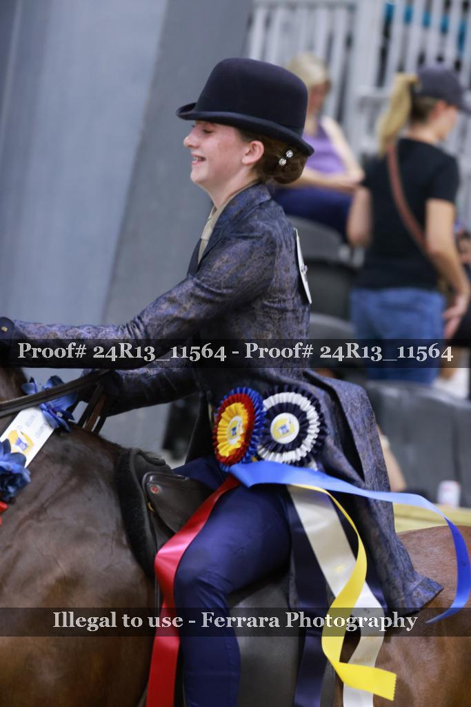 Proof 24R13_11564