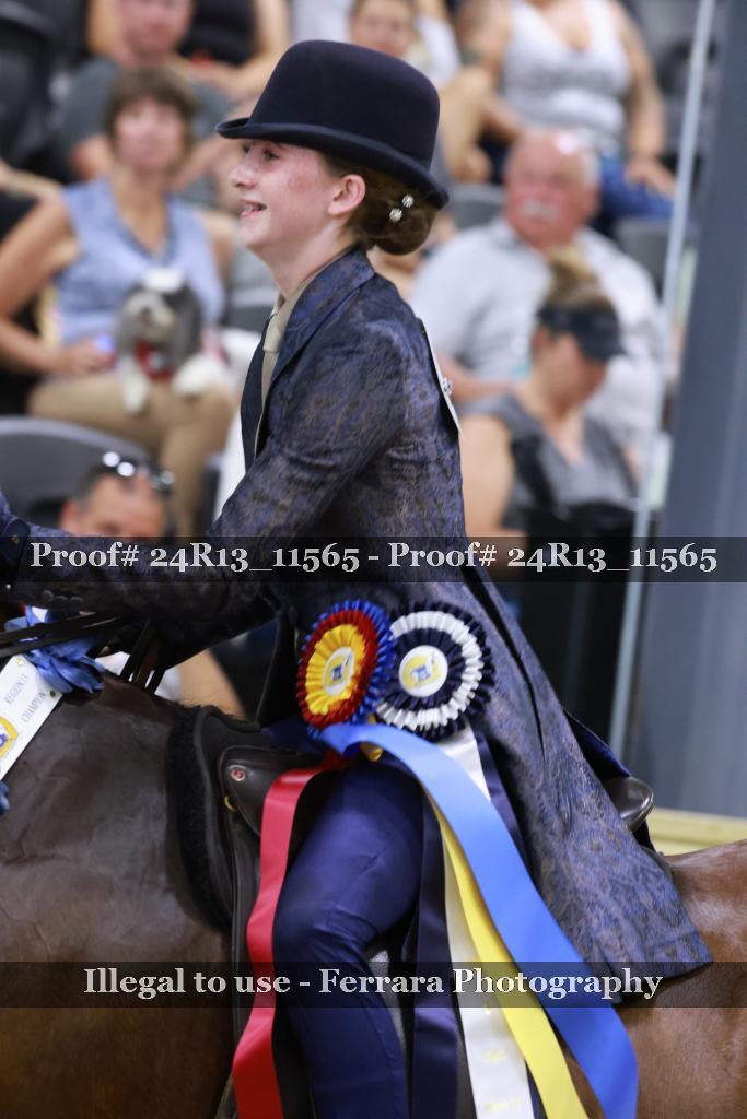 Proof 24R13_11565