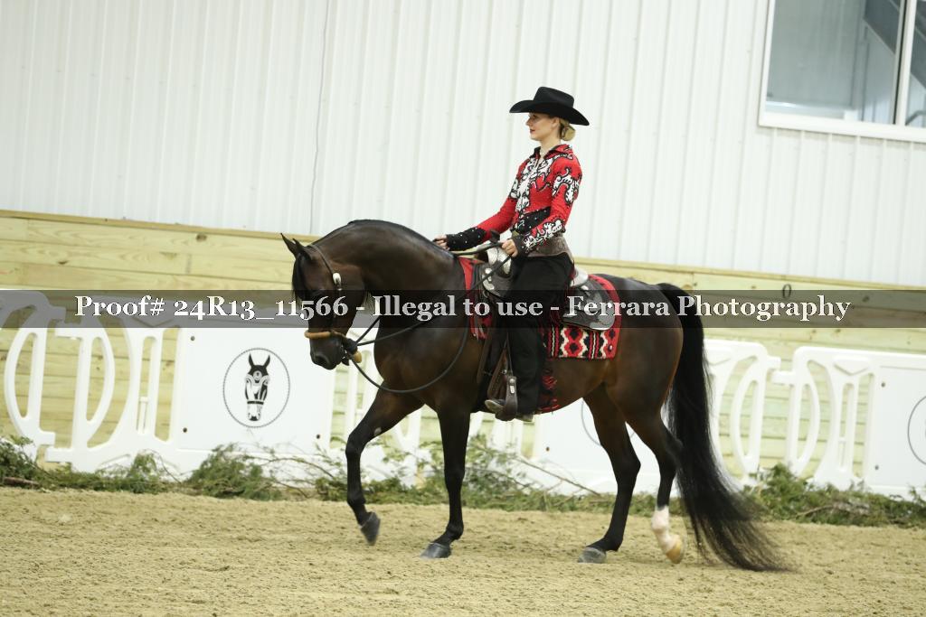 Proof 24R13_11566
