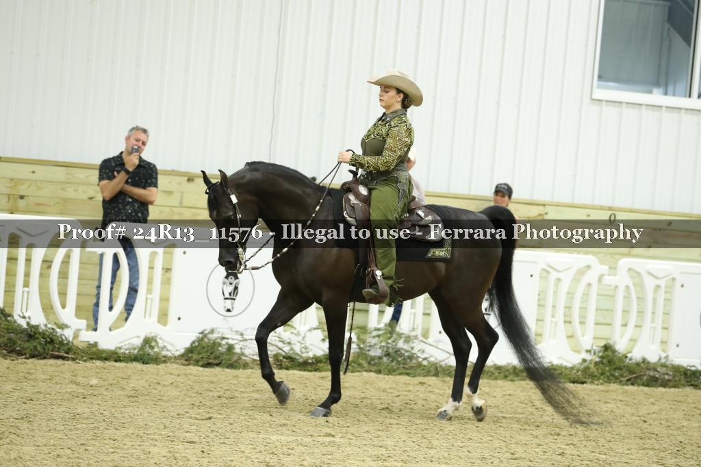 Proof 24R13_11576