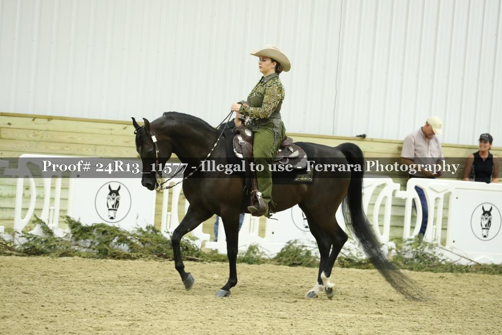 Proof 24R13_11577