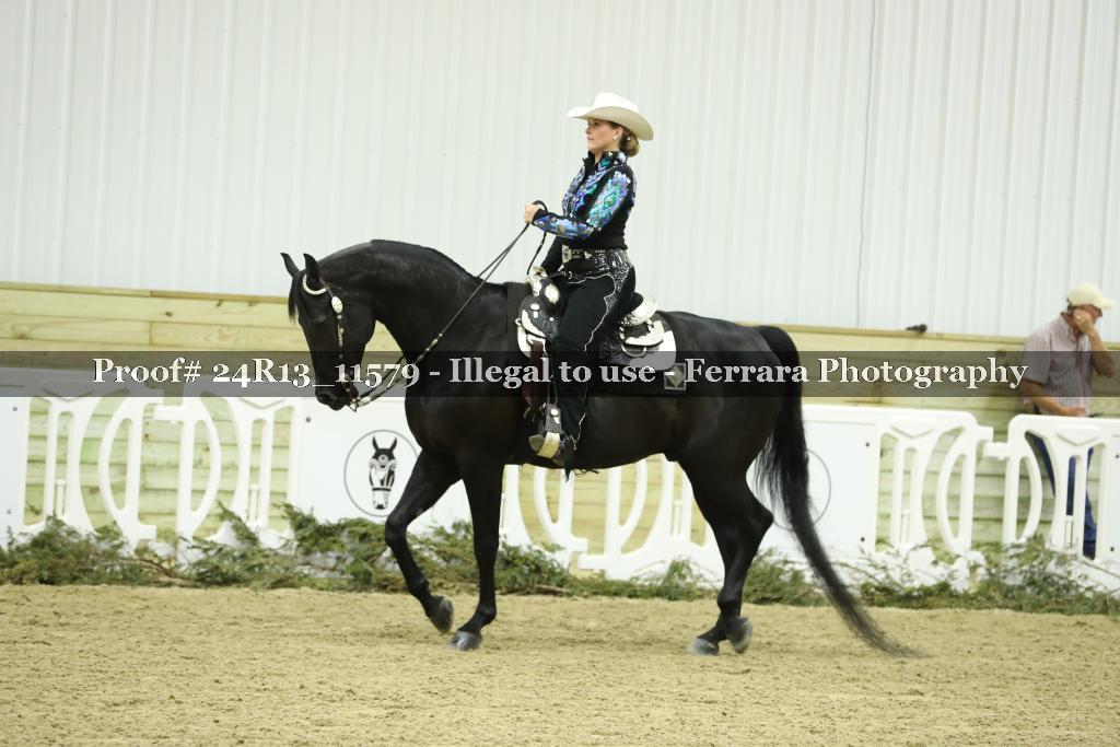 Proof 24R13_11579