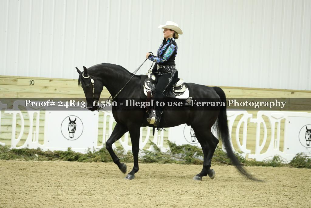 Proof 24R13_11580
