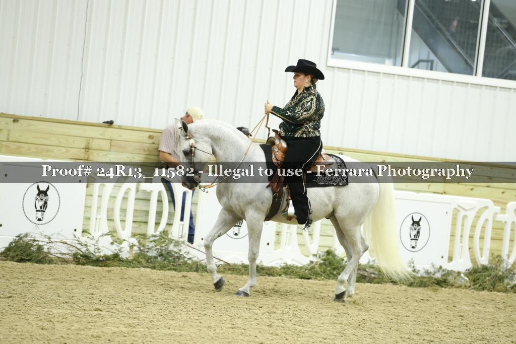 Proof 24R13_11582