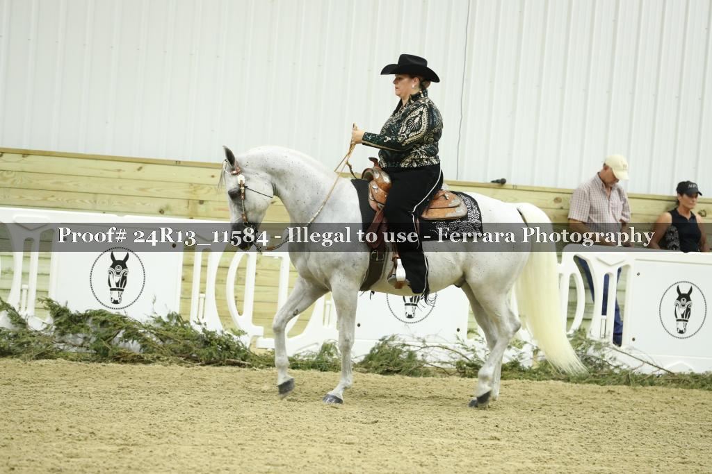 Proof 24R13_11584