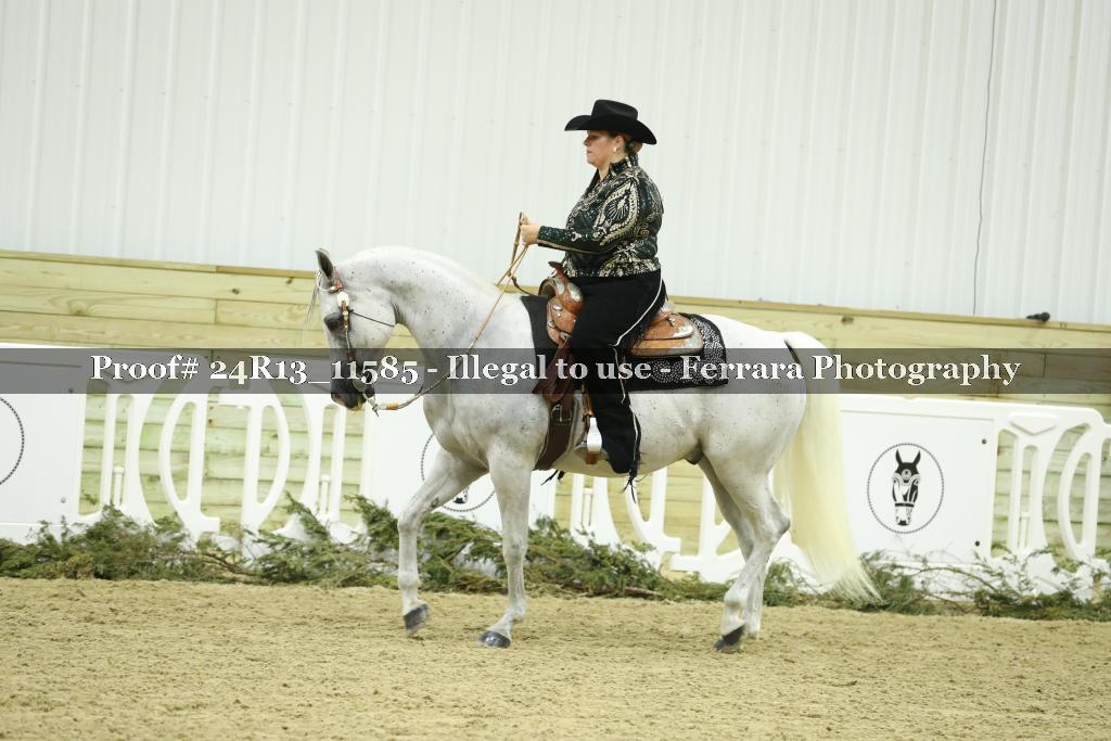 Proof 24R13_11585