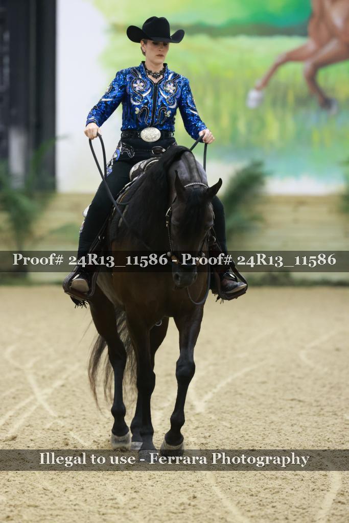 Proof 24R13_11586