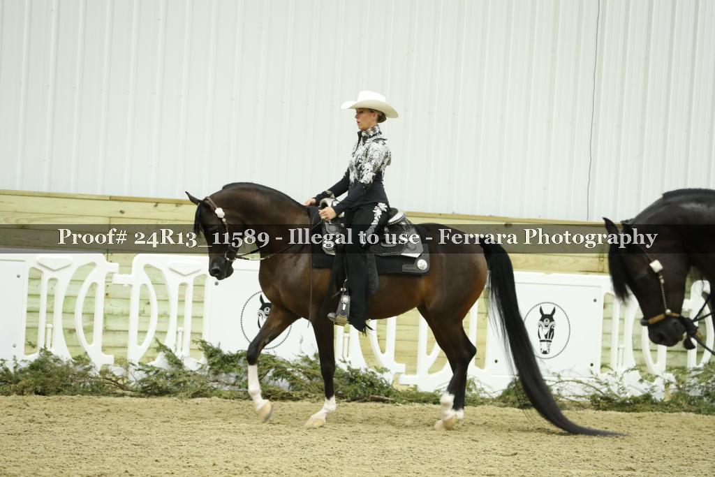 Proof 24R13_11589