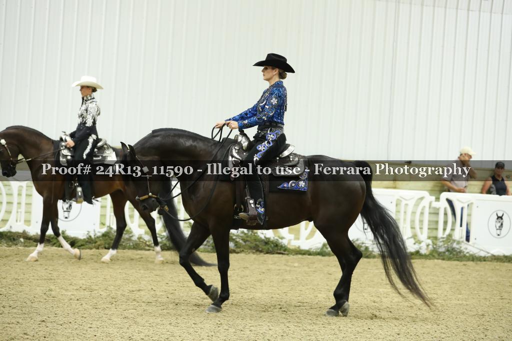 Proof 24R13_11590