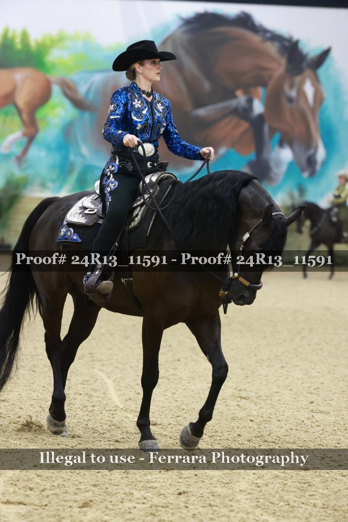 Proof 24R13_11591