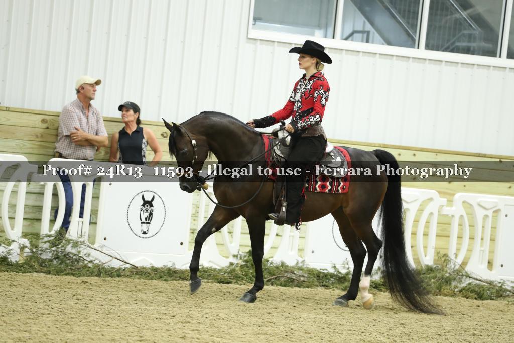 Proof 24R13_11593