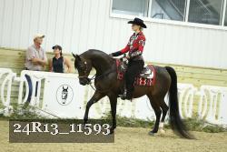 24R13_11593 proof