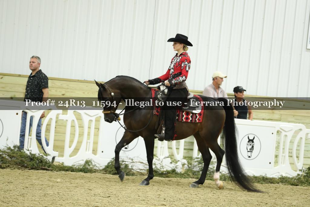Proof 24R13_11594