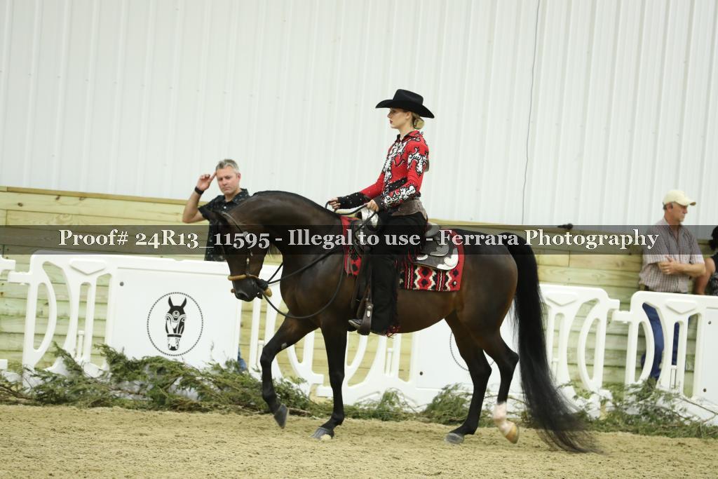 Proof 24R13_11595