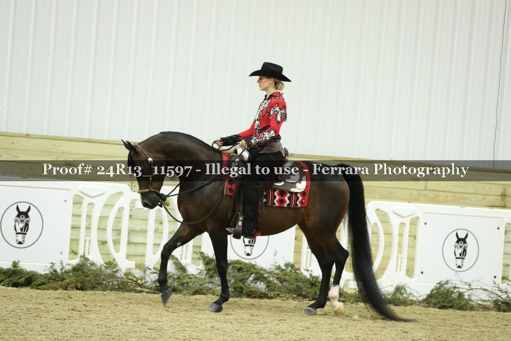 Proof 24R13_11597