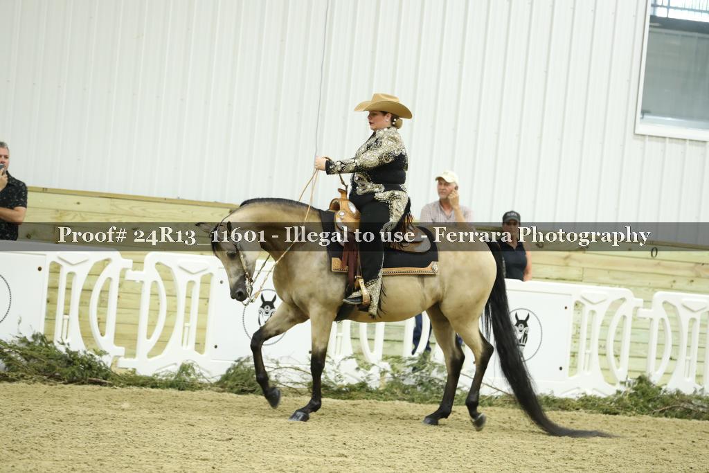 Proof 24R13_11601