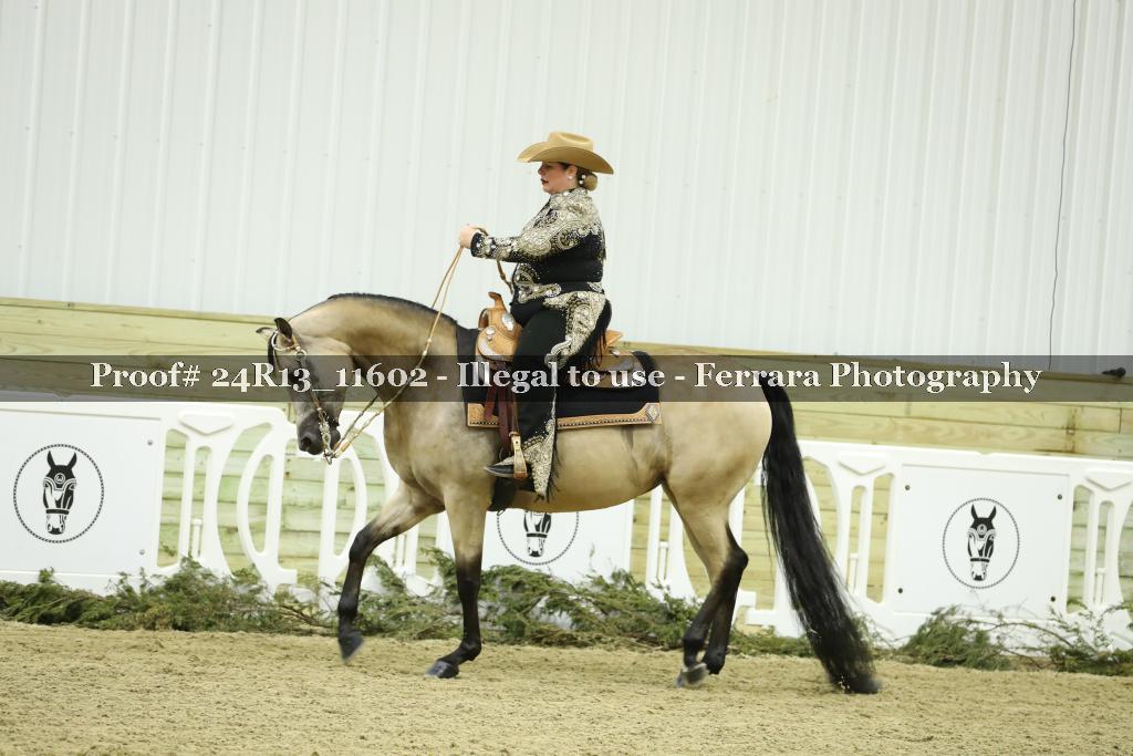 Proof 24R13_11602