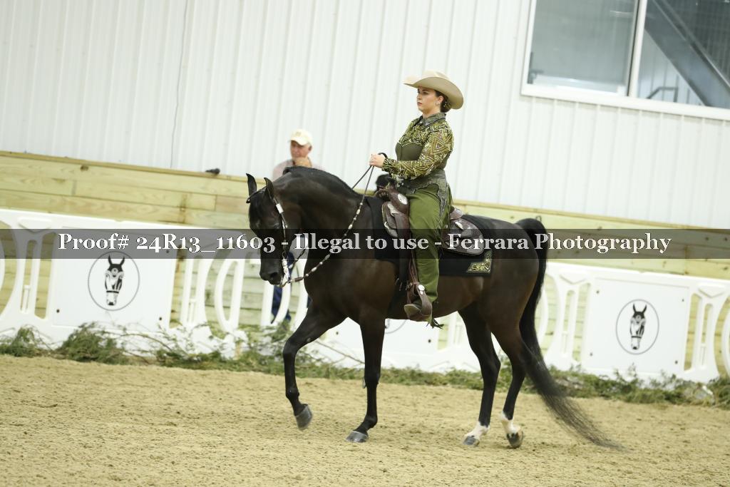 Proof 24R13_11603