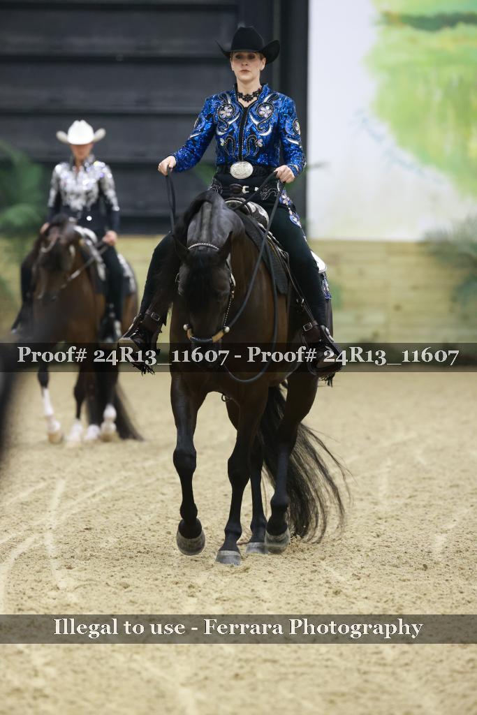 Proof 24R13_11607