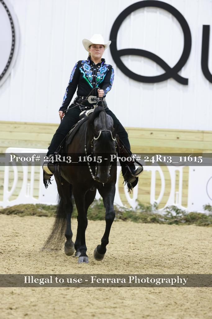Proof 24R13_11615