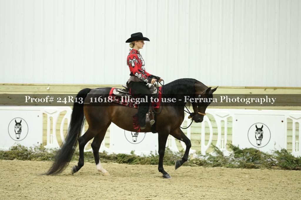 Proof 24R13_11618