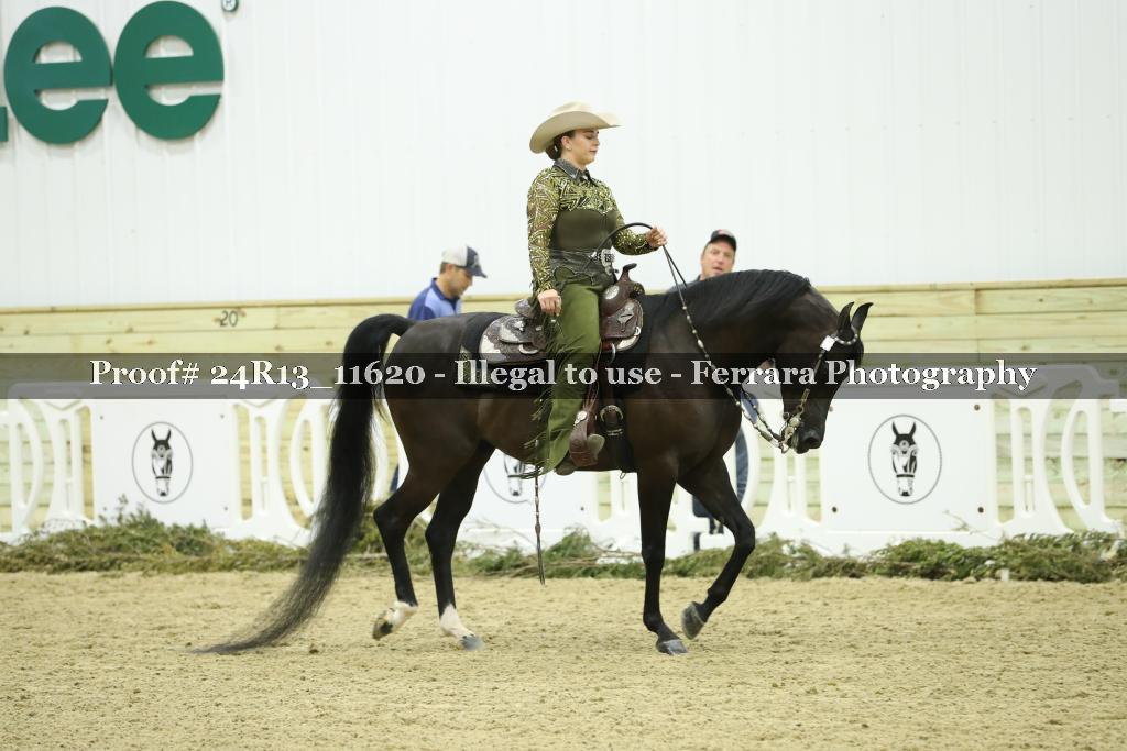 Proof 24R13_11620