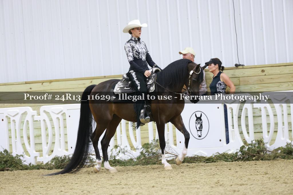 Proof 24R13_11629