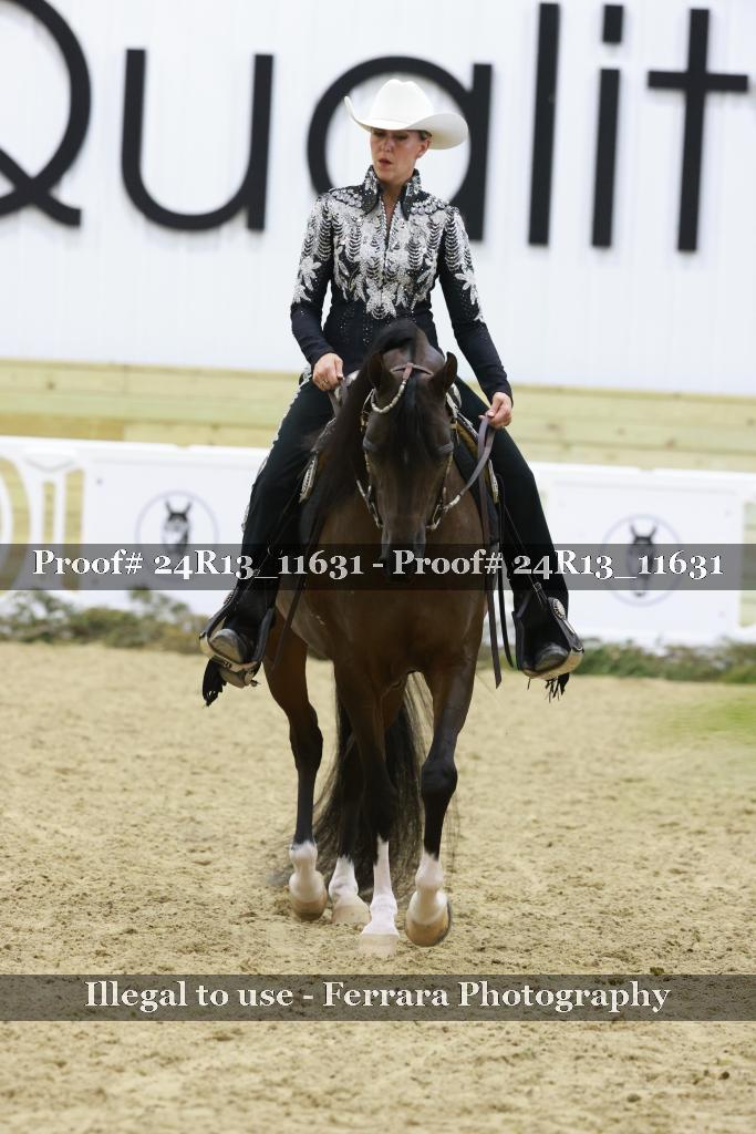Proof 24R13_11631