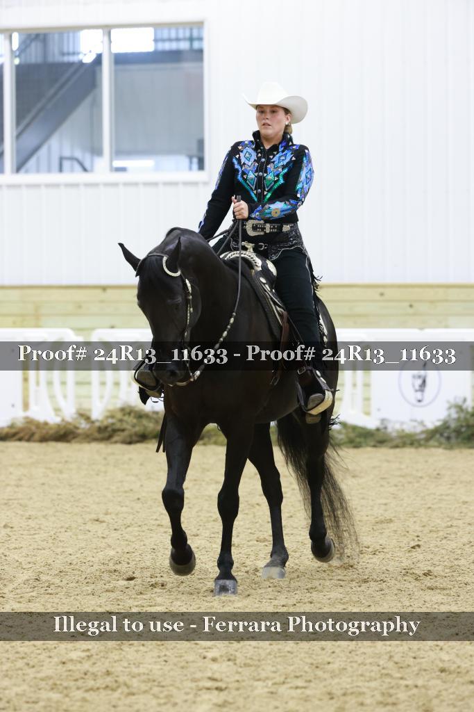 Proof 24R13_11633