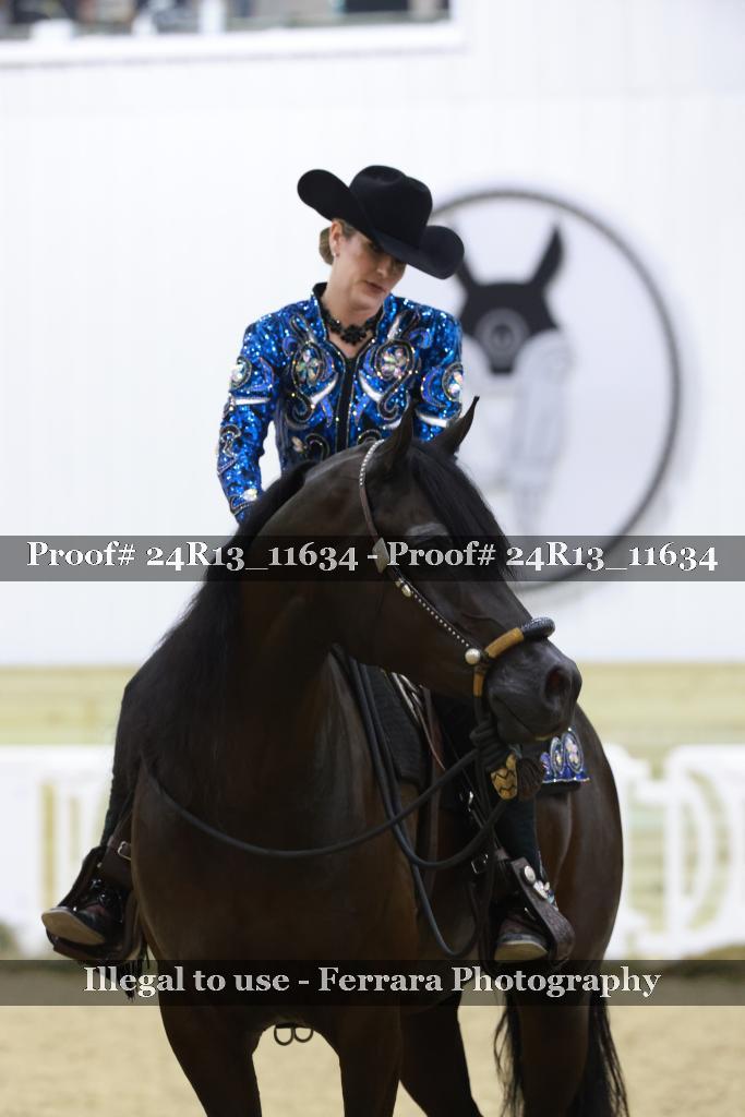 Proof 24R13_11634