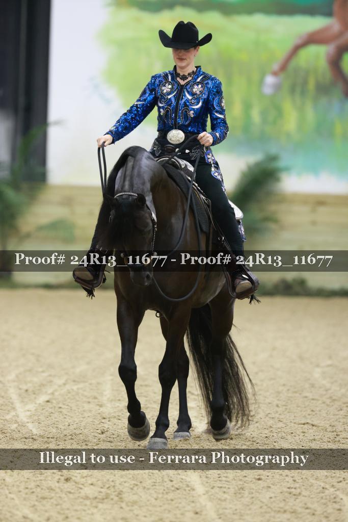 Proof 24R13_11677