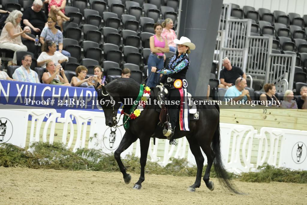 Proof 24R13_11679