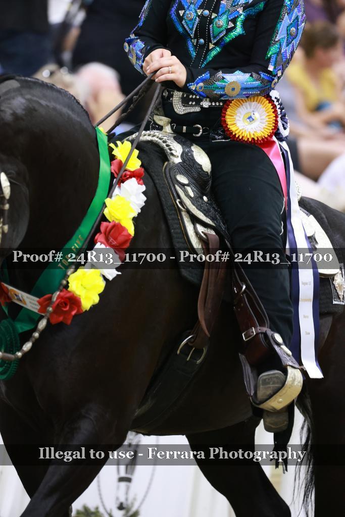Proof 24R13_11700