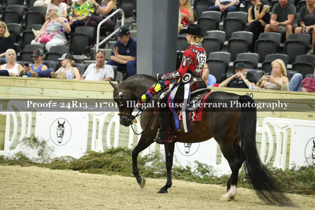 Proof 24R13_11701